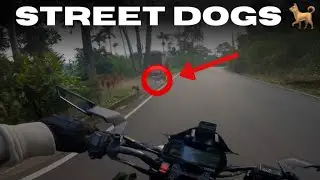 MT-15 vs STREET DOGS 🐕😈| Beautiful View 😻| Motovlog | Bike ride 💕| 1st MT-15 Motovlog🤯 ltf eh 🔥