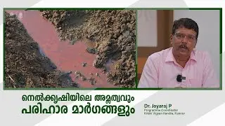 Acidity Management in Paddy Fields Dr Jayaraj P