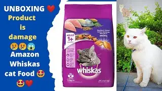 UNBOXING ❤️ | Amazon Whiskas Cat Food | Must Watch | Products is Damage 😢