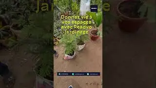 Readvo Services