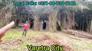 Another client building in Varetra City 