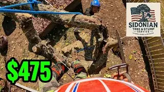 The Most Awkward Small Tree Removal I've Done | Milwaukee Top Handle