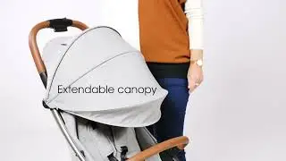 Ickle Bubba Gravity Pushchair - Silver Grey