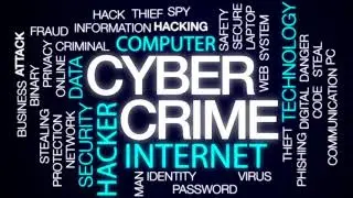 #Cybercrime #datadiddling#datathift