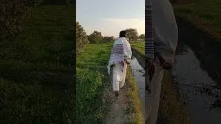 🌹Agriculture village life winter season 🌹#travel #sindhi #achrothar