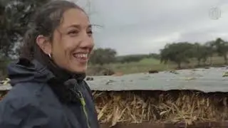 El sonajero, un invento de Chabeli para controlar a sus ovejas | El campo es vida