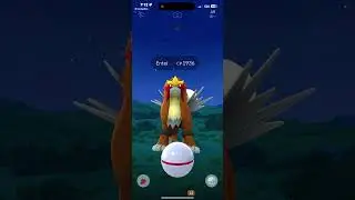 Entei raid
