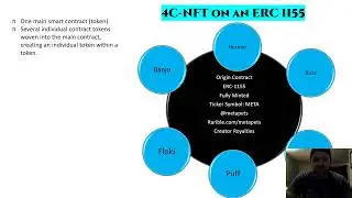 Creatively Minting Advanced NFT Contracts: The 4C-NFT (MetaPets)