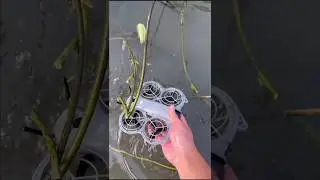 DJI Neo 2 Failed Landing 😔🛬 #dji #drone #shorts #shortsfeed #viralshorts #youtubeshorts #foryou #fpv