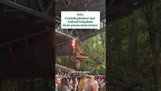 &iexcl;Nos encant&oacute; el show Feathered Friends in Flight en Animal Kingdom! 🦅🌿 Es una experiencia