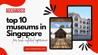 10 best museums in Singapore for a culturally enriching experience