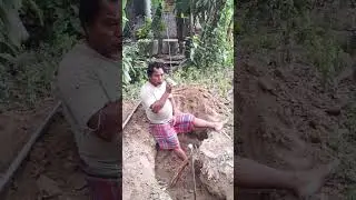 30 December 2025 #motivation #motivational #motivationalvideo #funny #definitely