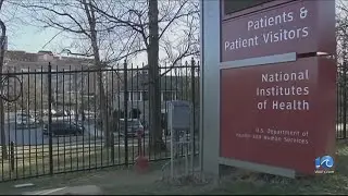 Trump administration could make cancer research cuts