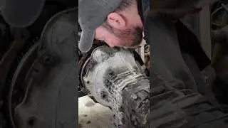 BMW E34 M5 Transmission Removal #bmw #automobile #mechanic #cars #diy