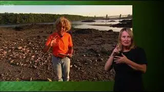 Menai Strait Rockpooling | Gillian & Paul Brazier (Afon Menai) Anglesey | Springwatch 2023 (signed)