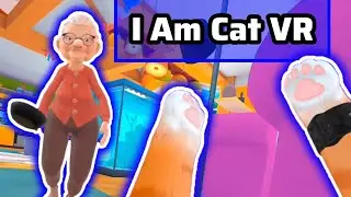 I Am Stevie The Catage VR