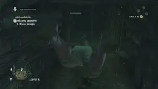 Assassin's Creed IV PS4 Missioni assassinio - Il nascondiglio del contrabbandiere