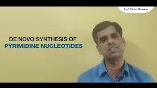 Biosynthesis of Nucleotides I Pyrimidine Nucleotides I CMP and UMP I Prof Kukreja  Girish