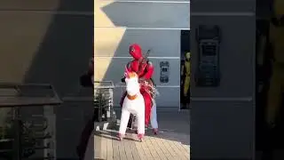 Deadpool riding a unicorn 🦄
