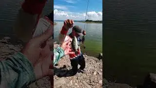 Pescamos Doblete de Guapotes en el Lago #Pesca #Fishing #Pescaria #ElSalvador