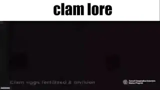 CLAM LORE