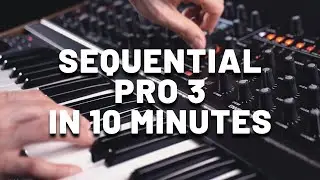 Sequential Pro 3 &ndash; 10 Minutes Synth Exploration | Sound Demo (No Talking)
