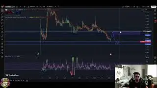 Dogelon Mars LIVE Update: Support Levels & Next Moves #shorts