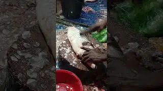 Satisfying Fish Cutting Skills 🐟🔪 | Fast & Clean Process #shorts