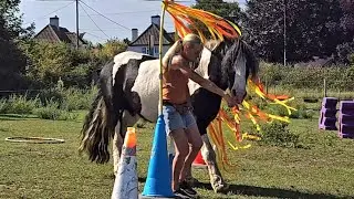 Horse Agility - Walk Only Silver Liberty Trophy  - September 25