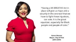 MI BREATHE Act - Electoral Justice