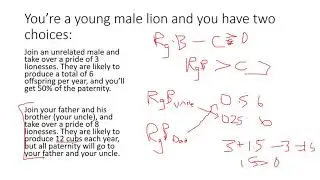 Hamilton's Rule Example Practice Problems