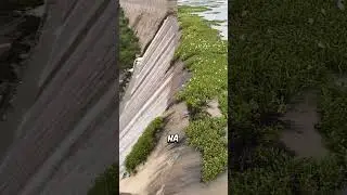 Как парень спас водохранилище от гибели 🌊