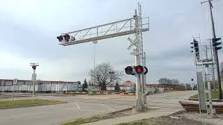 Metra Train  Rohlwing Rd #31