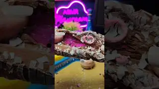 CraZart Bakery Crackle Bash #asmr #crazart #claycracking
