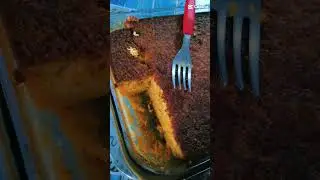 Del&iacute;cias para um caf&eacute; 😋 #amor #casa #comida #delicious #felicidade #cafe #feitocomamor