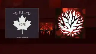 Steele leaf (netrual) VS Chaos corp (agressive)
