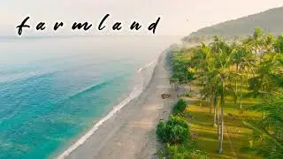Farmland view | Cinematic Video