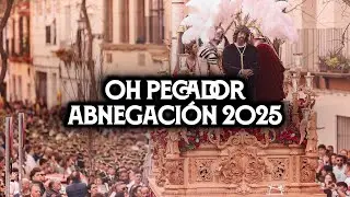 [4K] Oh Pecador | Abnegación 2025 | Virgen de los Reyes | Pasión de Cofrades
