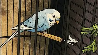 Drei 