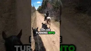 🐎Riding Endurance at age 65⁉️🫣 #horse #equestrian #endurance #trailhorse