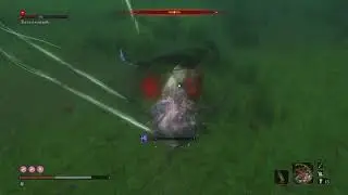 Sekiro Shadows Die Twice - Underwater Headless