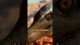 Jurassic World vs Real Life Dinosaurs