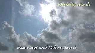 Westerly Winds - 20m of relaxing views and all nature sounds in 1080pHD