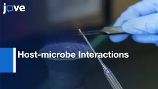 Host-microbe Interactions Study | Protocol Preview