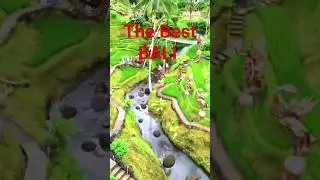 The best of BALI ~ #travel #nature #baliadventures