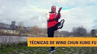 COMO TREINAR TECNICAS REAIS PARA LUTAS DE WING CHUN KUNG FU 永春功夫