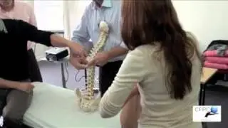 Integrative Osteopathic Technique - Formation en ost&eacute;opathie structurelle par David Tatton