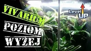 VIVARIUM na wyższym poziomie!