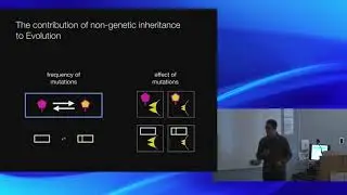 Can non-genetic heredity be important for evolution?