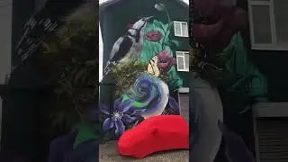 500 Abarth under cover and Street Art on the North West of England.